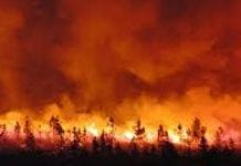 Nouvelle vague de théories antisémites liée aux incendies
