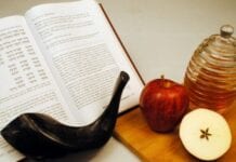 La pomme, un fruit dégusté à Roch Hachana (vidéo)