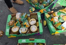Gaza: contrebande de cigarettes dans la cargaison d’ananas