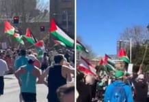 Chasse aux Juifs à Sydney