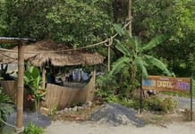 La Thaïlande va expulser un gérant de zoo français antisémite