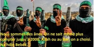 HAMAS-6-002