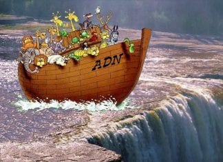 Noah: « la terre se remplissait de violence … » (vidéo)