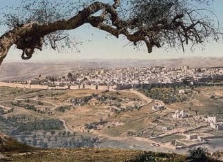 Réé: l’œil et l’ouïe, la vue et la voix