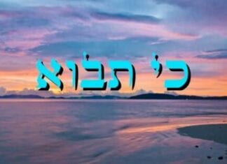 Ki Tavo כִּי תָבוֹא: « Il mettra un terme à ton exil.. » (vidéo)