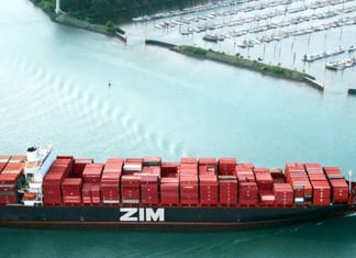 Israël freine la vente du géant maritime israélien Zim