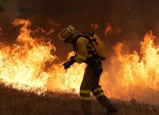 Incendies: Israël propose son aide à la France