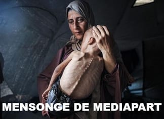 Famine à Gaza ! Enfin, la vérité sur le mensonge des médias