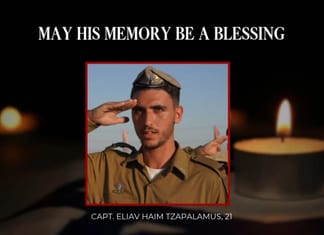 Un officier israélien tué dans un accident au Liban