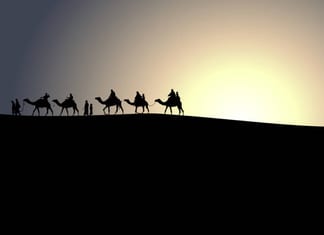 Le voyage des générations לך לך par le Rav J. Sacks Z »l