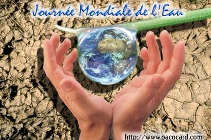journée-mondiale-de-leau_433_289