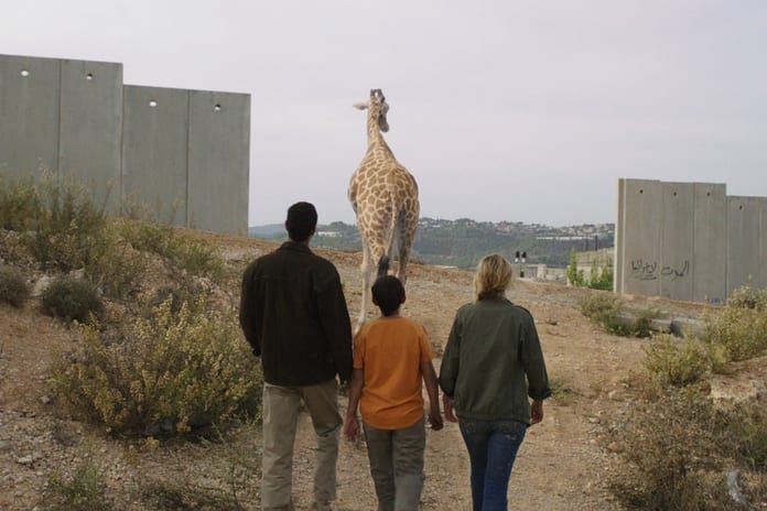 girafada_1115_743