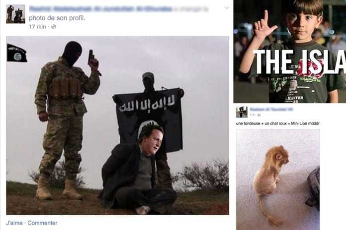 L-Etat-islamique-et-son-armee-de-lolcats_953_635