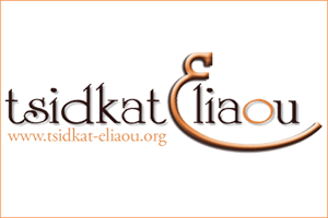 logo-tsidkat2