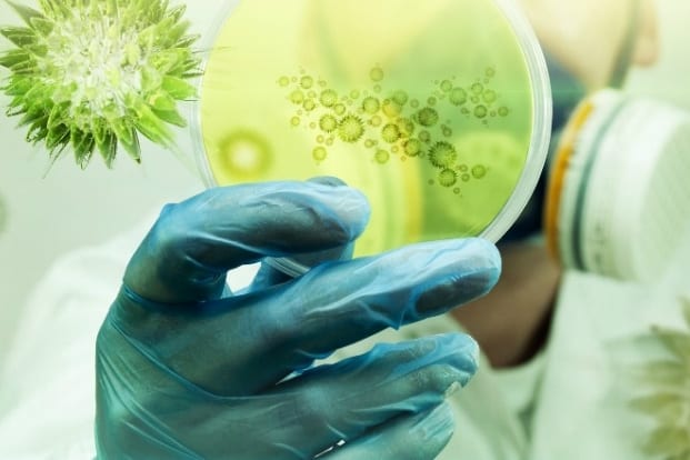 sciences-de-la-vie-biomed_621_414