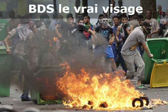 BDS-le-vrai-visage1_686_457