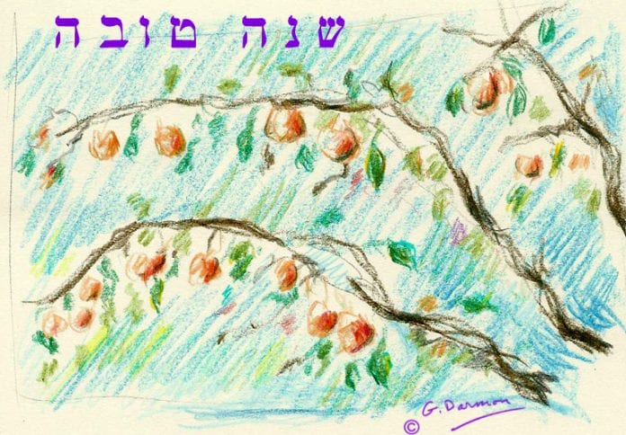 Chana Tova