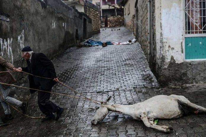 des-hommes-trainent-le-cadavre-d-un-ane-retrouve-dans-une-maison-a-dargecit-dans-le-sud-est-de-la-turquie-le-30-decembre-2015_5490992_1007_671