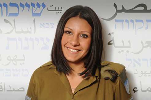 dina_492_328