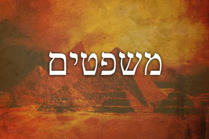 Mishpatim-700x466_688_459
