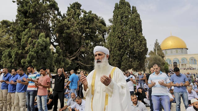 65770350991599640360no