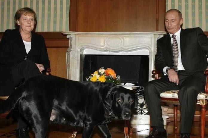 that_time_angela_merkel_detruit_la_machisme_de_poutine_942_628