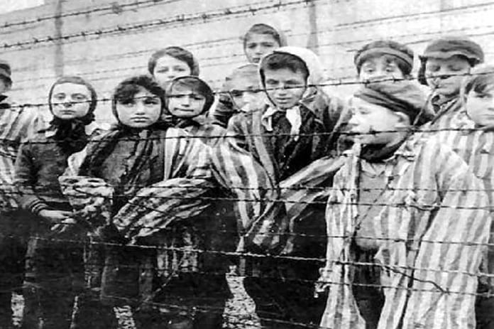 Shoah_Cover_0_847_565