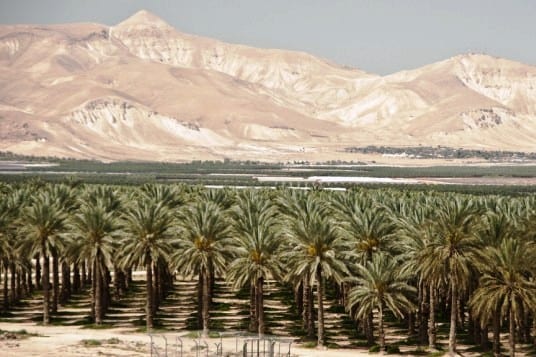jordan-valley