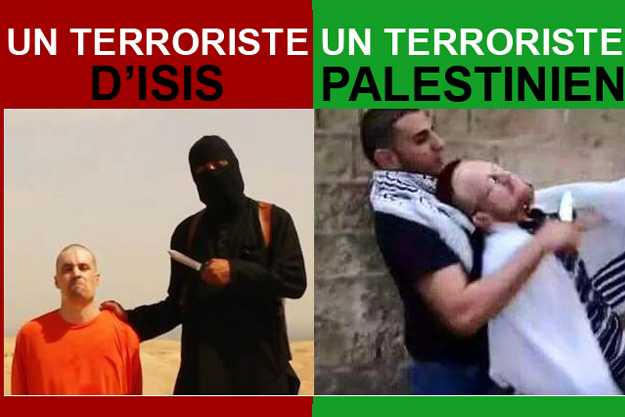 daesh-terroriste-palesitinien_626_417