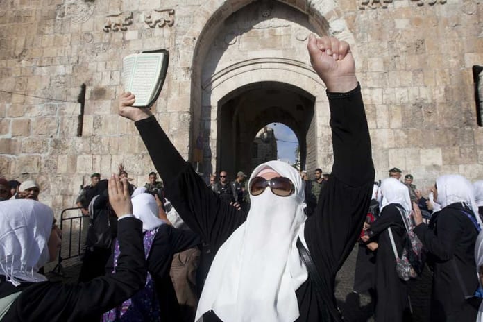 tumblr_msluhcGUry1r9jzs2o1_1280_1128_752