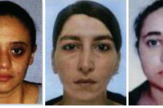 6193243_collage-commando-de-femms-bonbonnes-660x400-604x366_537_358
