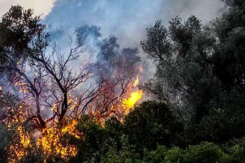 fire_23_498_332