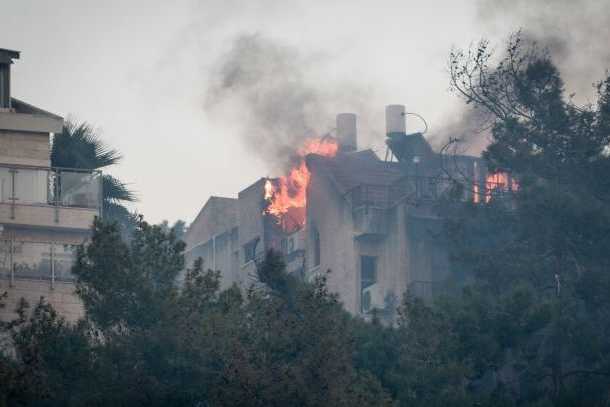 haifa_burning_24_611_407