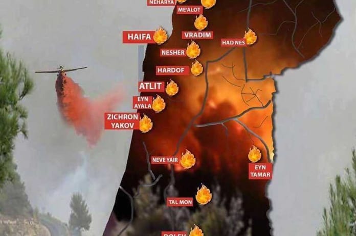 carte-incendies_901_601