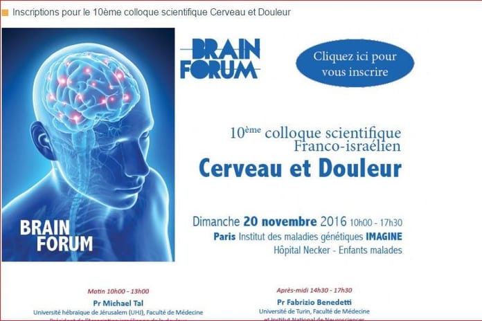 cerveau
