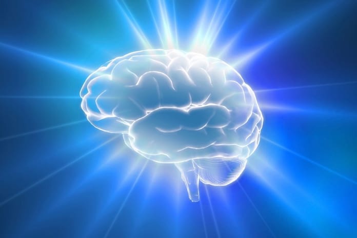 cerveau mémoire