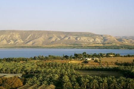 lac