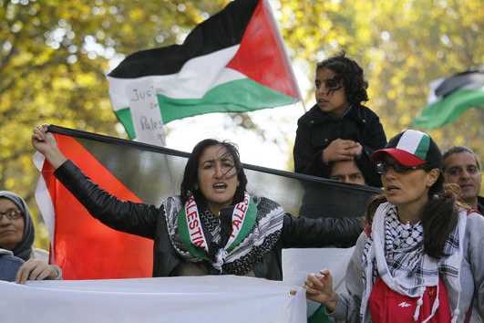 5104177_6_1d78_des-manifestants-pro-palestiniens-dans-les-rues_f35498295fed9d28c6f60fab2ff1188d_531_354