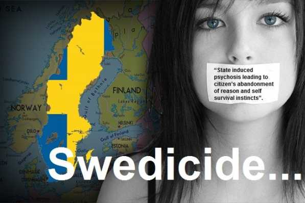 swedicide-viols-suede_597_398