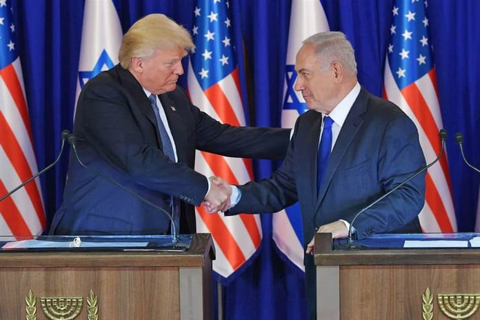 trimp bibi