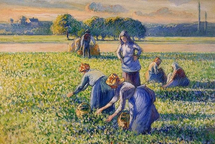 pisarro