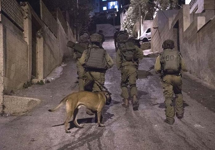 IDF-special-force-unit-Duvdevan_jpeg-696x486