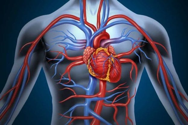 stent