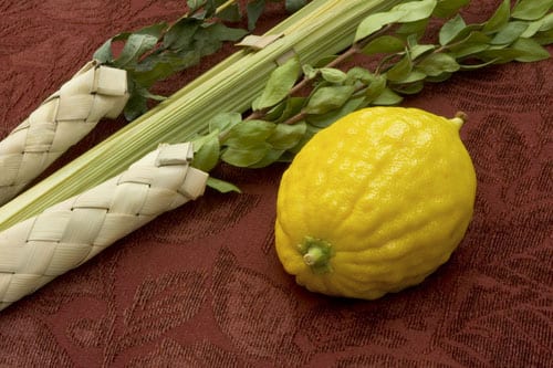 lulav_et_etrog