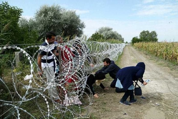 Migrants_in_Hungary_2015_Aug_018-810x540_800_533