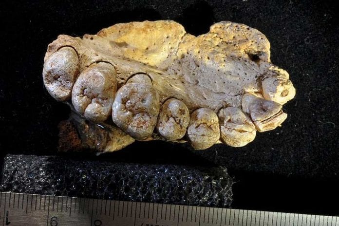 Figure-9-1024x640_957_638