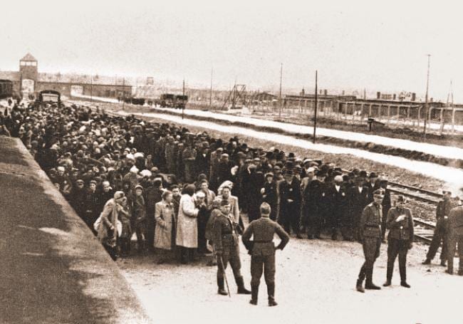 4228 HISTOIRE MENGELE TOURNE AUSCHWITZ