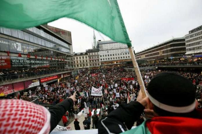 Suède-malmoe-pro-palestiniens_699_466