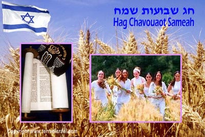 chavouot-5