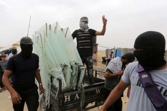 Gaza-Kits-17_894_596